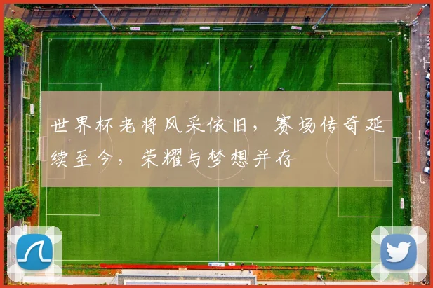 世界杯老将风采依旧，赛场传奇延续至今，荣耀与梦想并存
