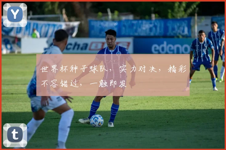 世界杯种子球队，实力对决，精彩不容错过，一触即发