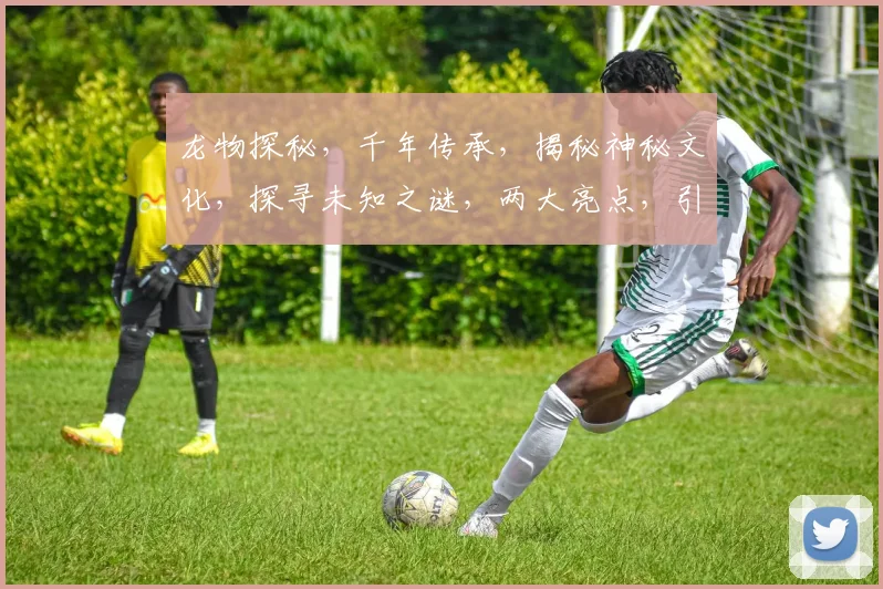 龙物探秘，千年传承，揭秘神秘文化，探寻未知之谜，两大亮点，引人入胜