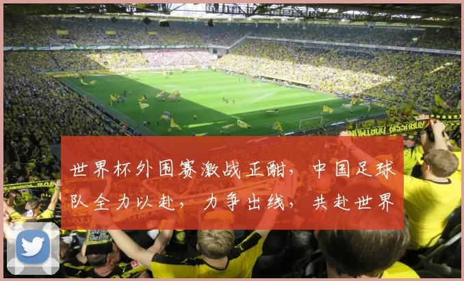 世界杯外围赛激战正酣，中国足球队全力以赴，力争出线，共赴世界之巅